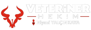 biyazilim, biVet 4.4